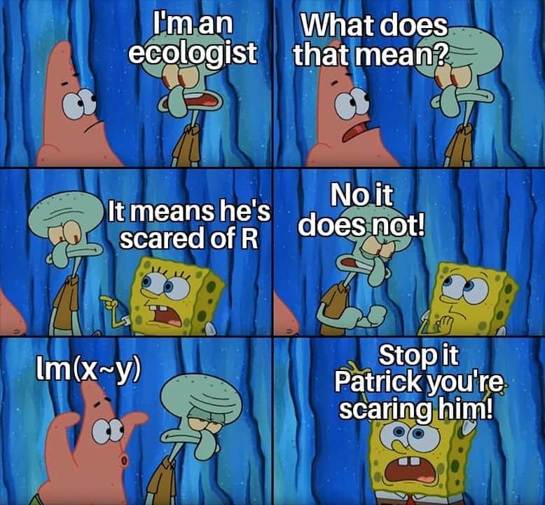 ScienceofDiving's tweet image. You know the pain.