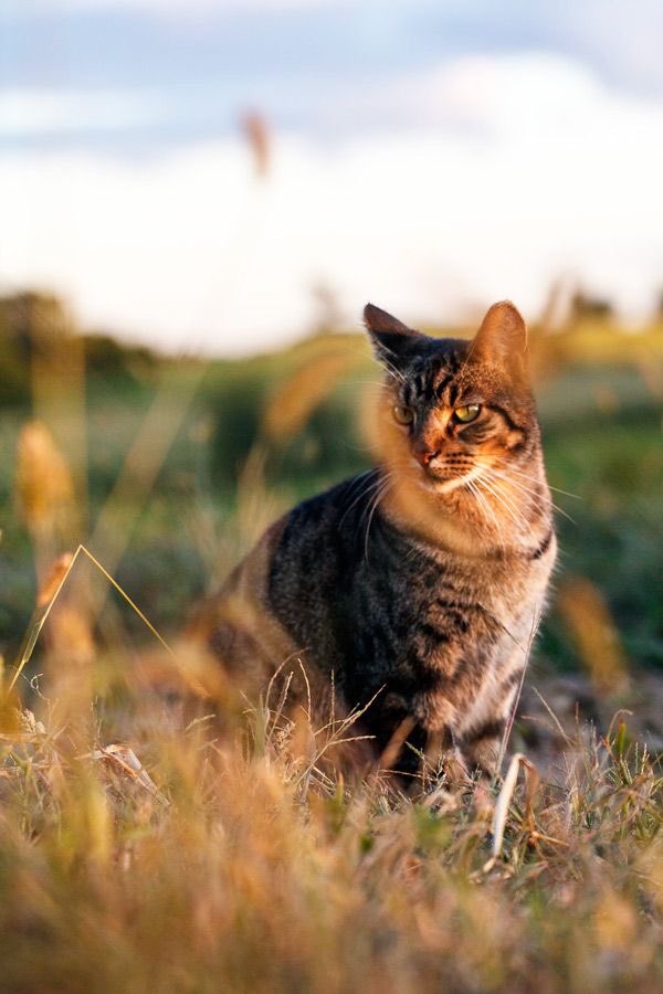 FUN REFERENCE IMAGES,, A THREAD 