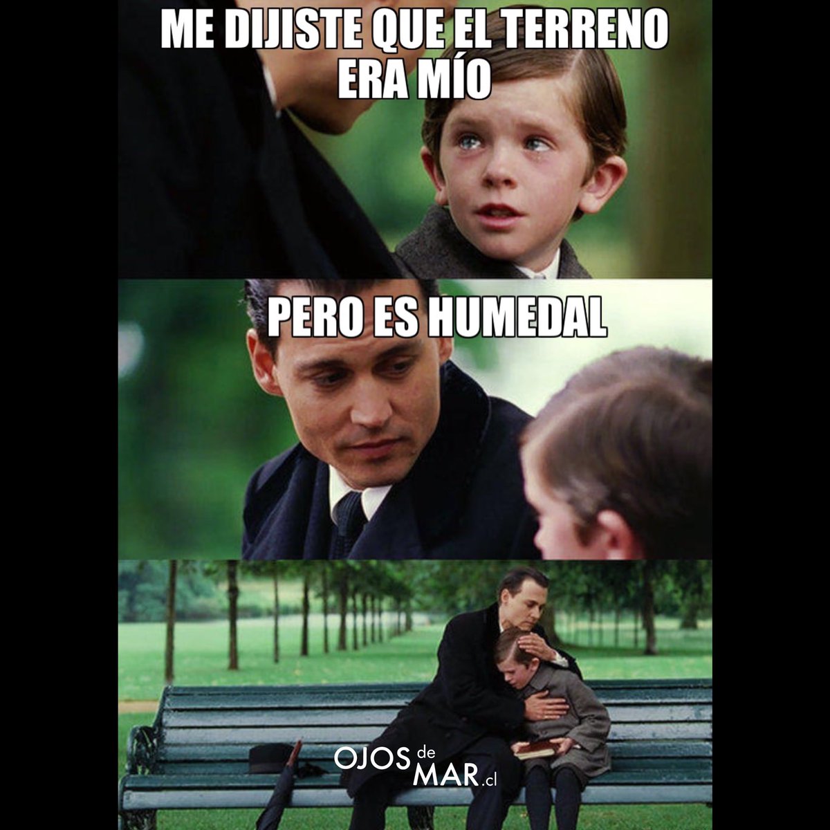 Ojos de Mar (@ojosdemarong) on Twitter photo 