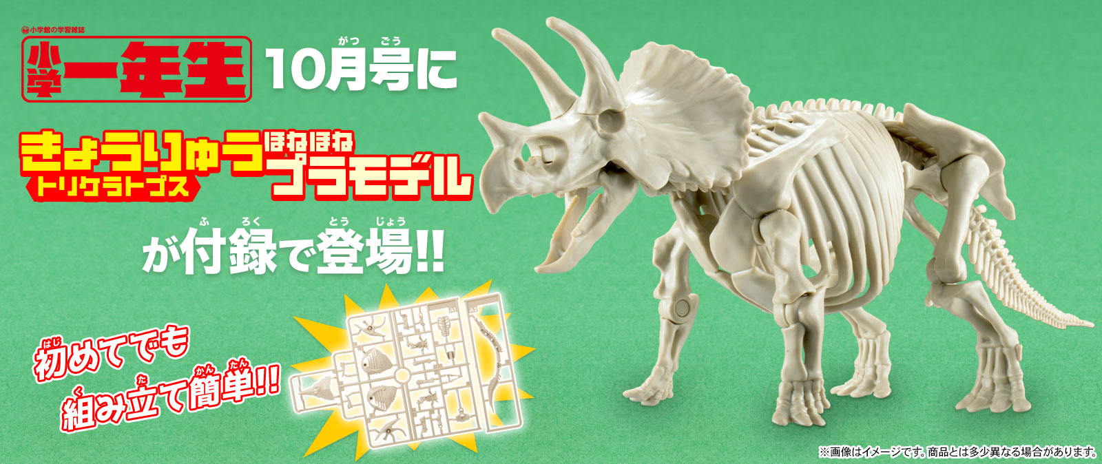 Bandai Spirits ホビー事業部 小学一年生 にプラモデルが付録で登場 9月1日ごろ発売の小学一年生10月号に トリケラトプス きょうりゅうほねほねプラモデル が付録で登場 初めてでも組み立て簡単なトリケラトプスのプラモデルだ 詳しくはこちらを Bandai Spirits ホビー事業部 小学一年生 にプラモデルが付録で登場 9月1日ごろ発売の小学一年生10月号に トリケラトプス きょうりゅうほねほねプラモデル が付録で登場 初めてでも組み立て簡単なトリケラトプスのプラモデルだ 詳しくはこちらを