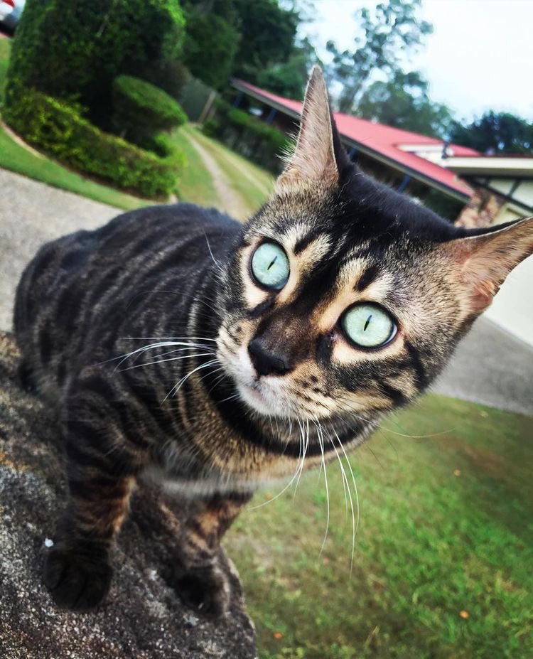 FUN REFERENCE IMAGES,, A THREAD 