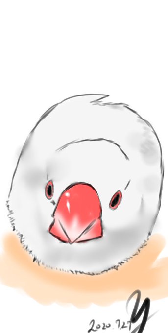 弥富文鳥のtwitterイラスト検索結果