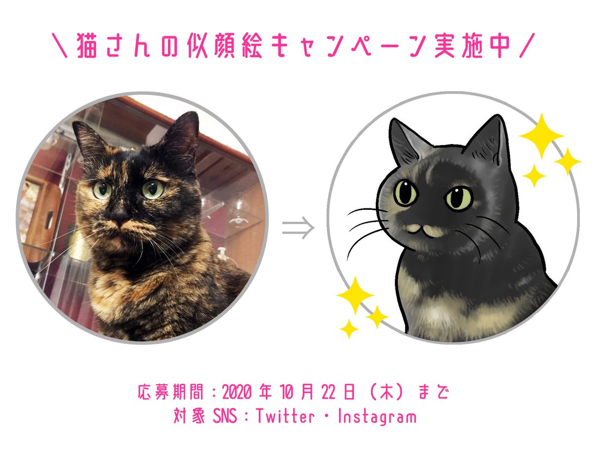 大好評発売中『猫まみれライフ②』?✨

ハッシュタグ
#猫まみれライフ #フェリシモ猫部 

で購入された漫画のお写真を投稿すると、山野りんりんさんにご自宅の猫ちゃんの似顔絵を描いてもらえるキャンペーンに応募できます!
※対象SNS:Twitter・Instagram

感想と一緒につぶやいてくださいニャ～♪ 