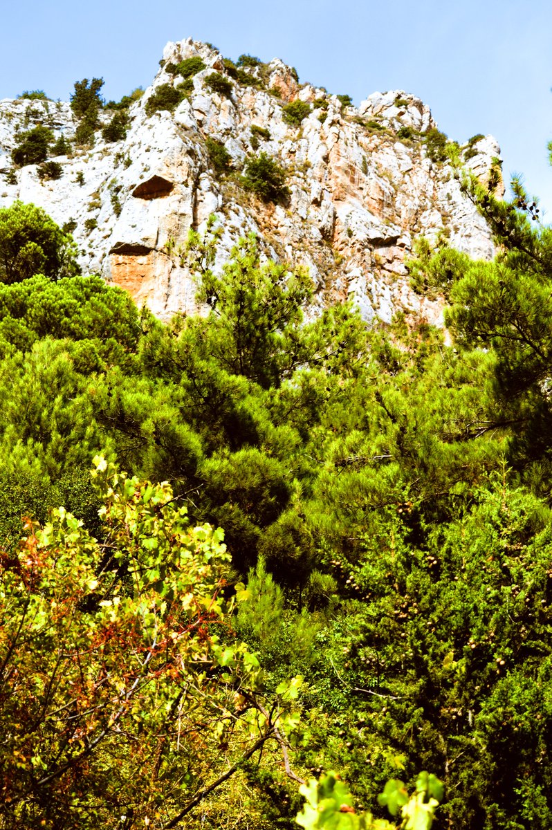 hhlahoud's tweet photo. Father Dario Escobar 
Dario Escobar left his rich family in Colombia to settle as Maronite monk in a hermitage etched in the rock in a cave, in the Monastery of Our Lady of Hawqa, overlooking Qadisha Valley, Lebanon. (UNESCO Heritage)
https://t.co/uWA9VA4TuK https://t.co/yH3tzaz1X0
