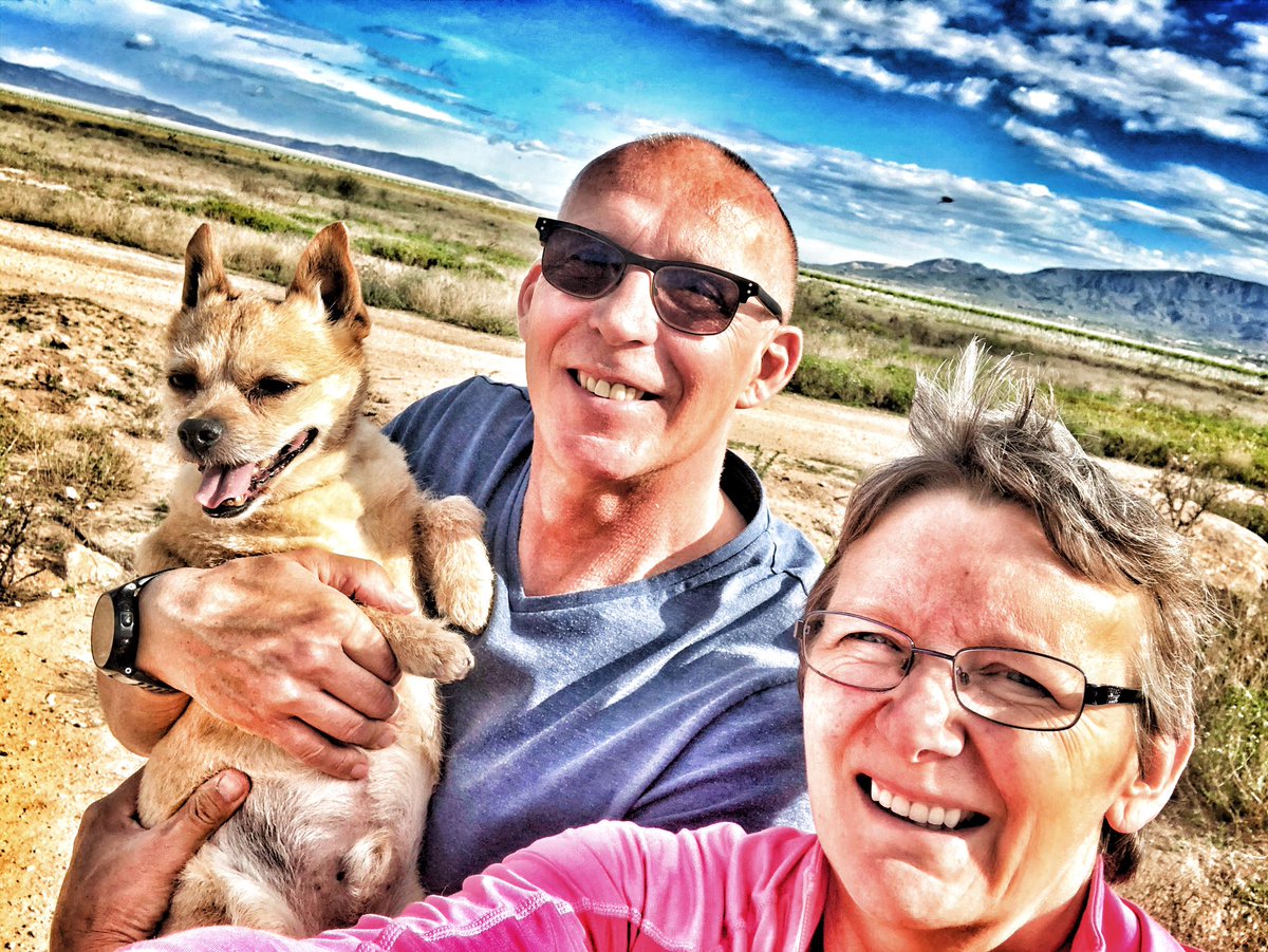 Irene Curtis OBE tweet media