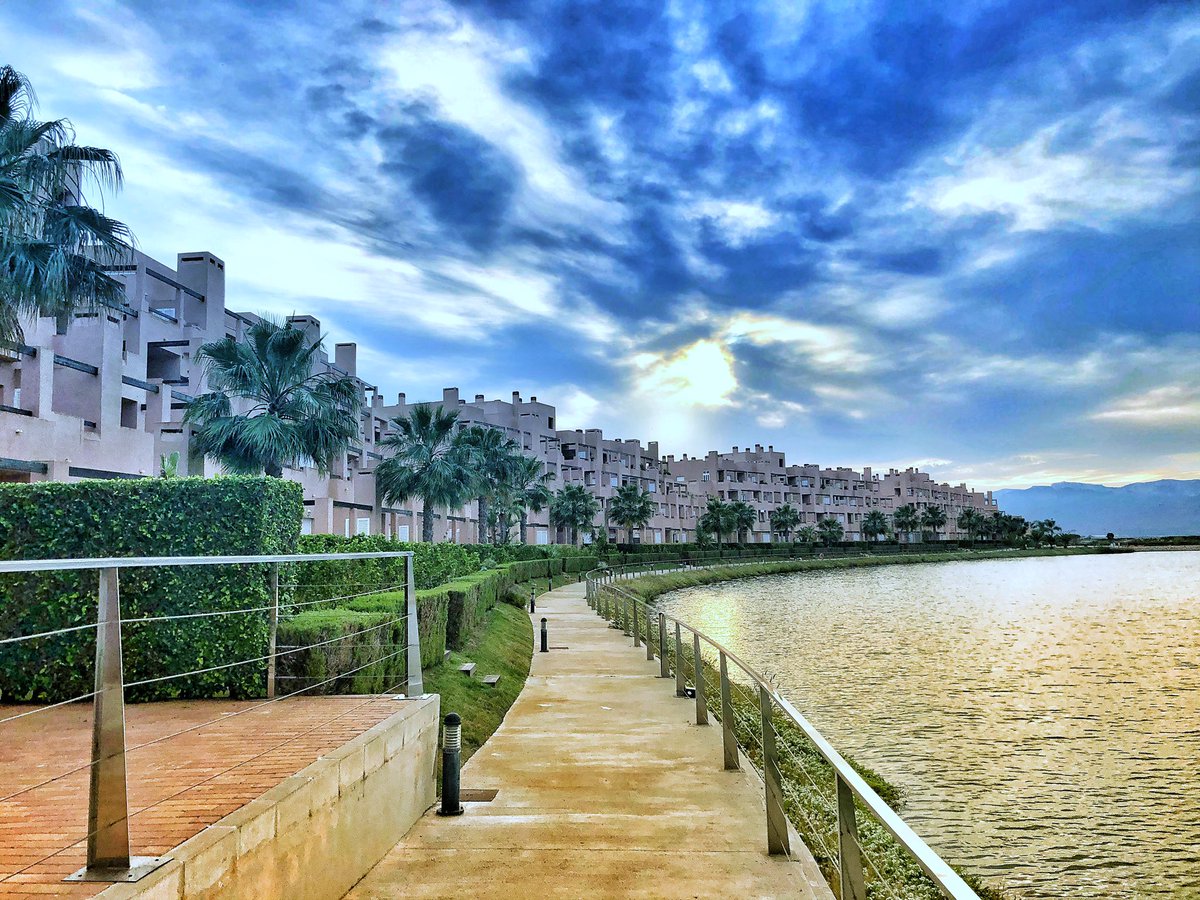 Irene Curtis OBE tweet media