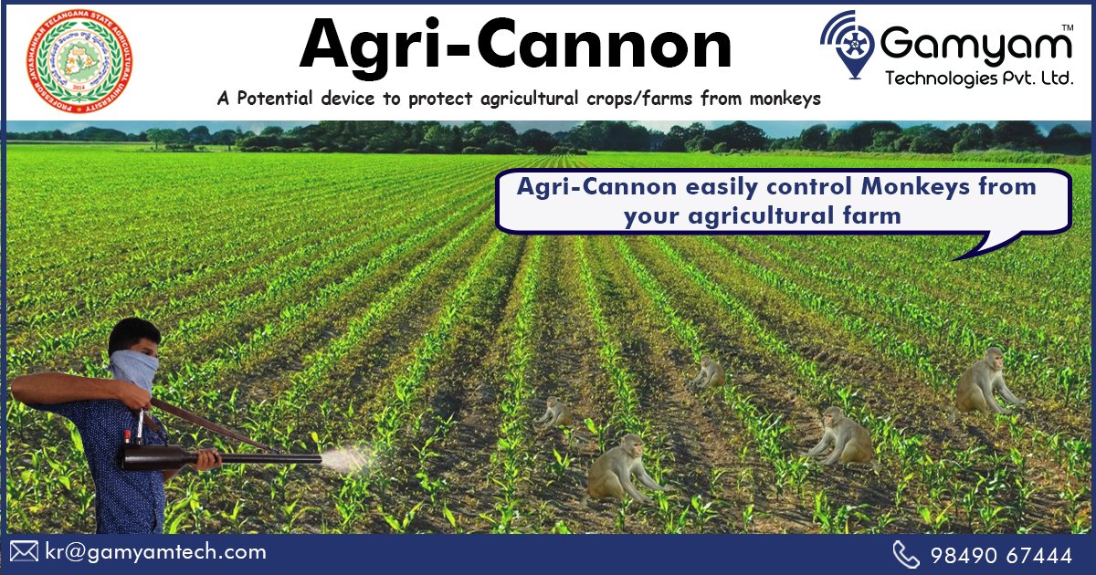 ABRConserv's tweet image. Agri-Cannon easily control Monkeys from your agricultural farm
Learn more: agrigamyamtech.com
Contact us @+91-9849067444
#protectcrops #monkeyscarerdevice #deerscarer #birdsscarer #animalrepellent #savecrops #agriculturalinnovation #birdscrerdevice #birdrepeller @icarindia