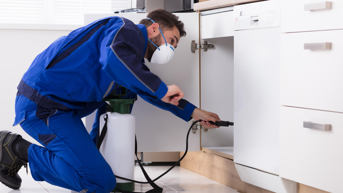 insuretradies's tweet photo. Pest Control Public Liability Cover – Instant Quote -Online Purchase starting at $57 per month https://t.co/Wqen5Ued5L https://t.co/9n5g1Shyb7
