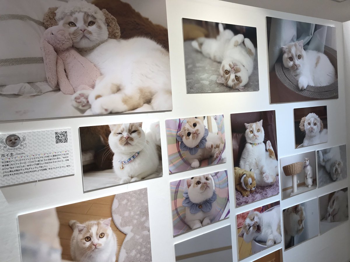 ks_z34's tweet photo. アマビエホイちゃん可愛いぃ〜💕
#ねこ休み展 #福岡PARCO
#ホイちゃん https://t.co/SPK8H3geB4