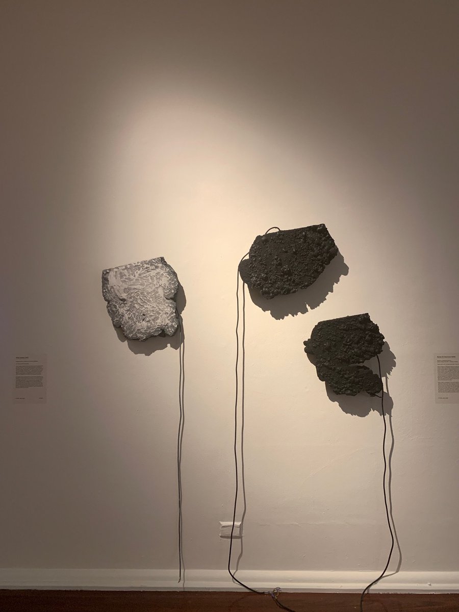 #Creativearts PhD candidate Philip Mylecharane (artist name Philip Sulidae) was selected for the national #Hatched2020 exhibition on now <a href="/PICA_Perth/">PICA</a>. Find out about Sulidae's installation 'Dirt Dreams': bit.ly/39Kq2AE  <a href="/arts_tasmania/">Arts Tasmania</a> <a href="/ArtsHub/">ArtsHub</a> <a href="/arts_review/">Arts Review</a>