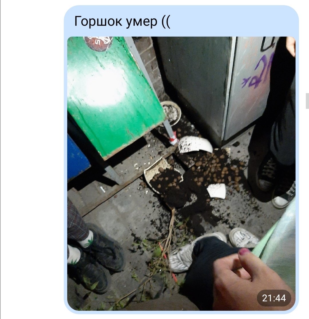 горшок король и шут причина смерти фото