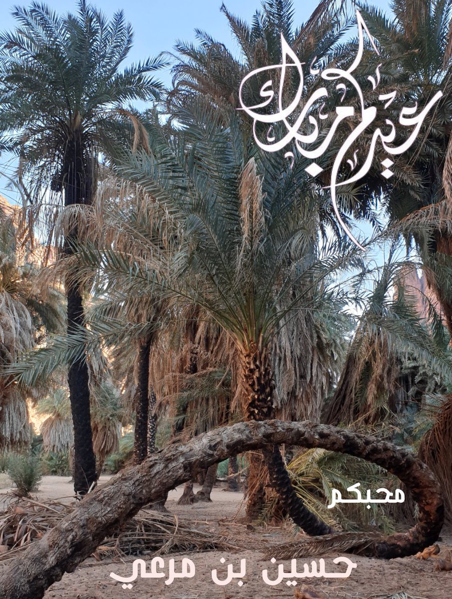 حًسًيّنٌ بّنٌ مرعيّ 𐩱𐩡𐩬𐩦𐩣𐩺 tweet media