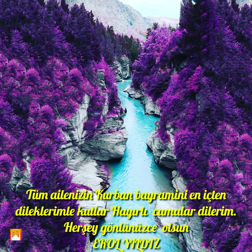 Tüm can dostlarimin bayramini tebrik eder kazasiz belasiz bayram gecirmenizi dilerim