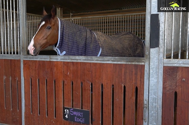 Smartedge is set for his stable debut 🏇 Don’t rule him out on his last 4 runs though, they were all on 🌧️ affected going. In his last run on dry, he wasn’t far off Vega One 😉 Retweet if you’re in his corner &amp; you may win a <a href="/sportsbetcomau/">Sportsbet</a> 🎁

📽️👉 vimeo.com/442906696