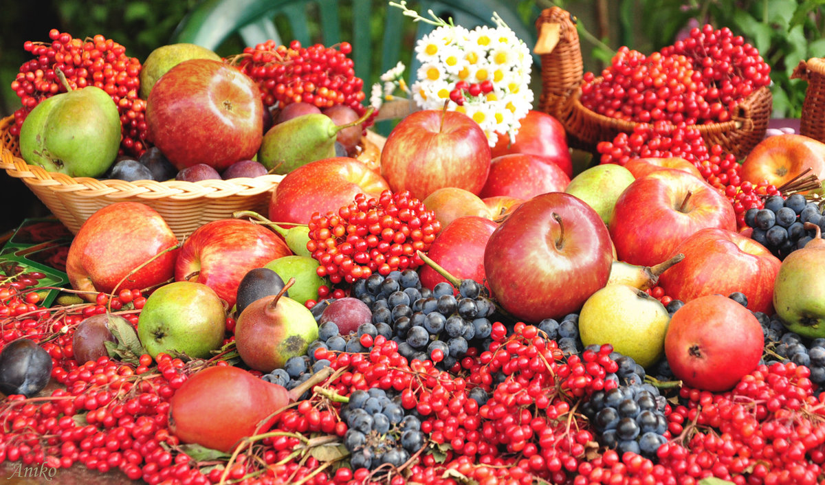 Хорошо лето плодами. Фрукты и ягоды. Осенние фрукты и ягоды. Плод ягода. Летние фрукты.