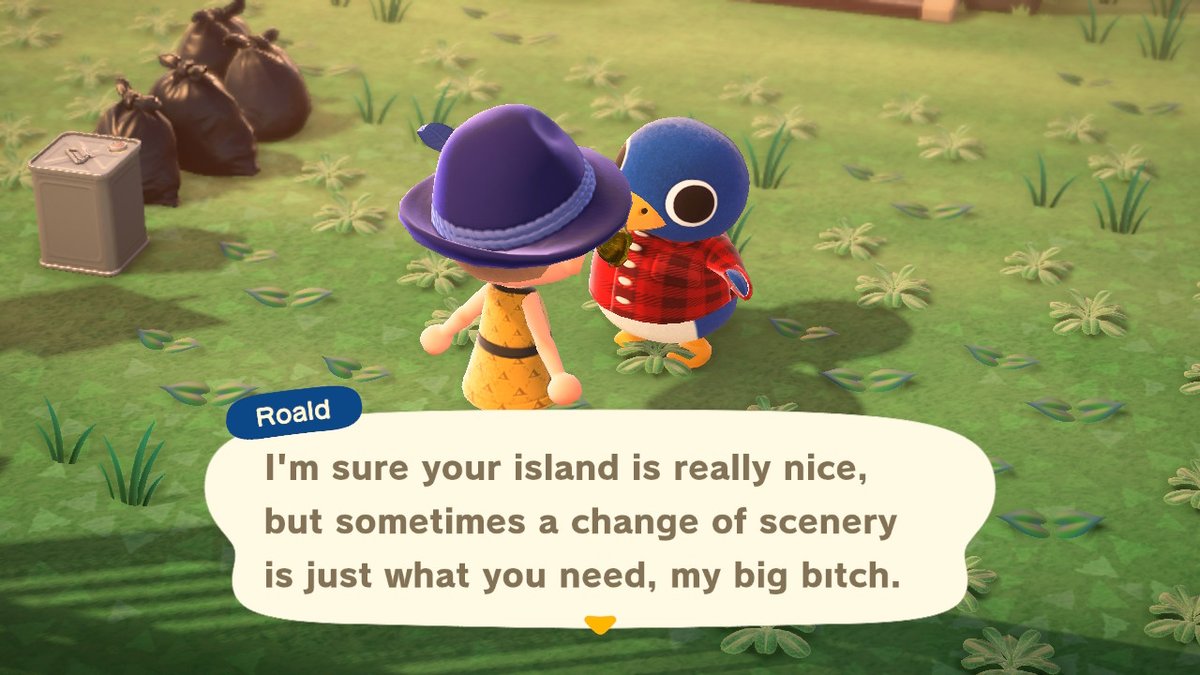 LadyFromKamloop's tweet image. #AnimalCrossing #ACNH #NintendoSwitch