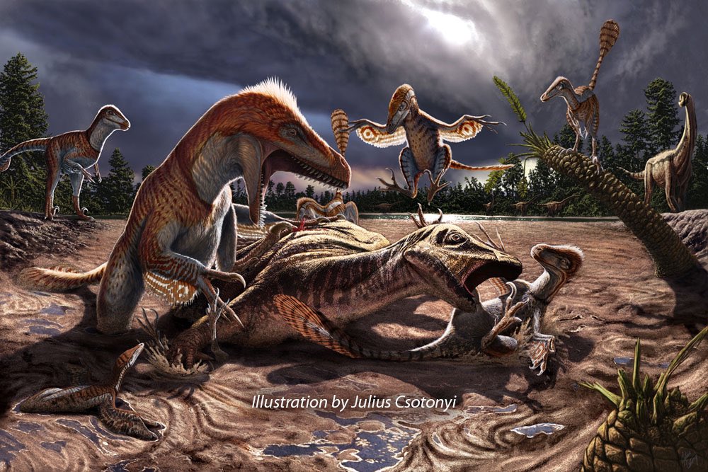 Currently there is an ongoing project called the “Utahraptor Project” containing at least seven individuals of Utahraptor and the remains of at least one possible iguanodont herbivore. Art by Julius Csotonyi.  https://www.gofundme.com/f/utahraptor 