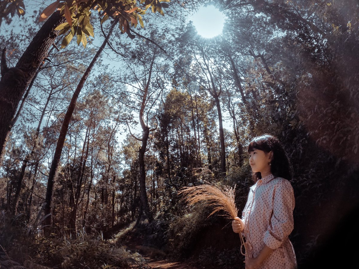HalimVennywati's tweet photo. More video about BALI
https://t.co/9IEK521Xi6

#NaturePhotography #nature #travelphotography #travel #traveling #travelbloggers #baliphoto #PhotoOfTheDay #PhotographyIsLife #discvorey https://t.co/EmXSF6IshF