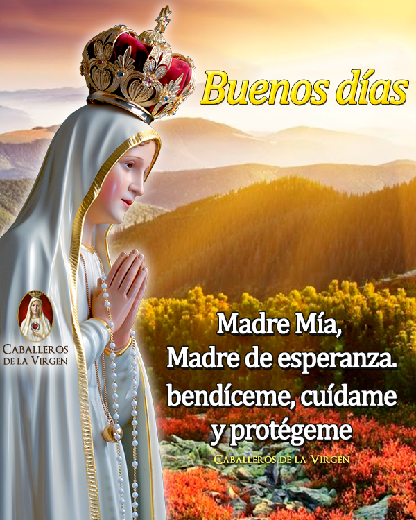 Caballeros de la Virgen on Twitter: Caballeros de la Virgen on Twitter:
