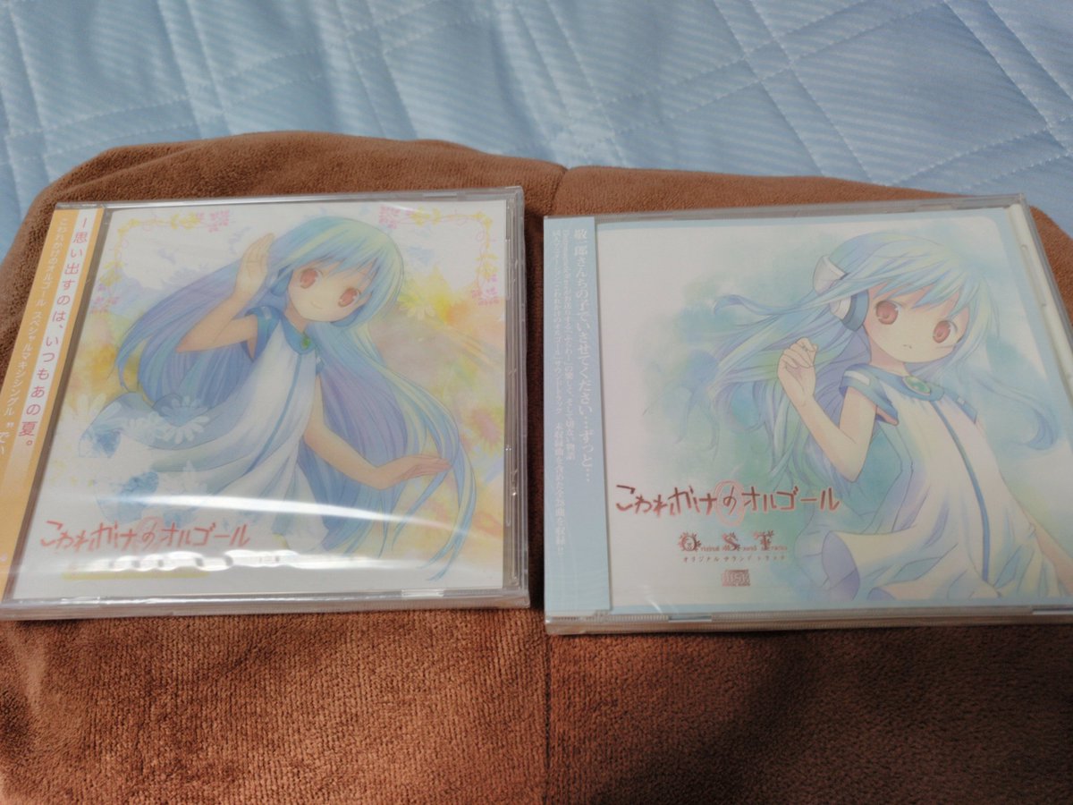 Tsukasa (Sound Online)でﾜﾁが唯一知ってる曲↓ こわれかけの