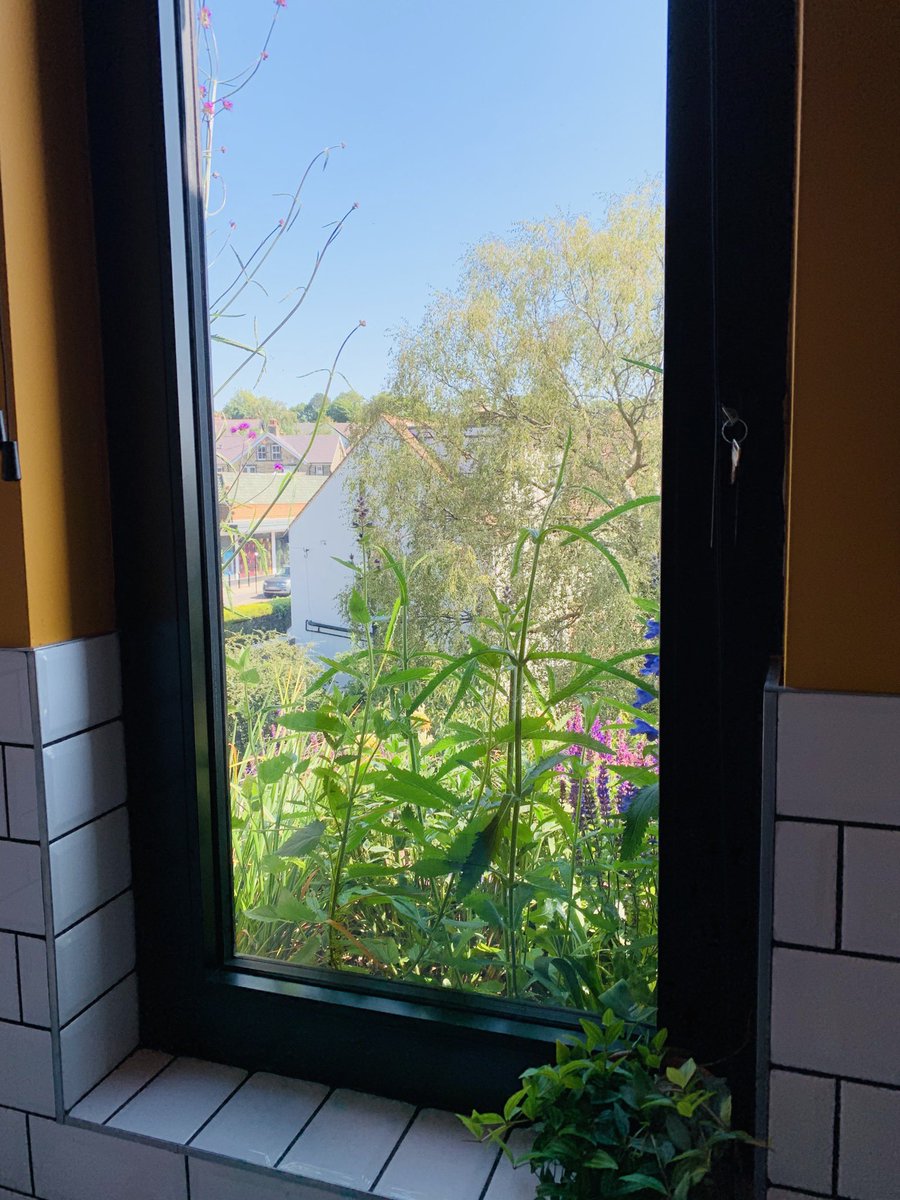 JAMES_SIMPSON tweet media