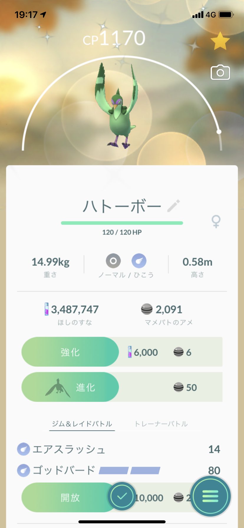 Twitter 上的 ポラリス ポケモンgo 色違いマメパト 出ました は2匹目なのでハトーボーに進化 そして ケンホロウに進化させました 後はマメパト の色違いを狙わないと ポケモンgo 色違い マメパト ハトーボー ケンホロウ T Co Iltr6p1xbe