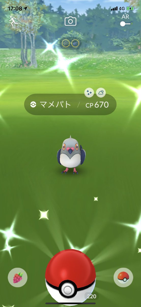 70以上 ポケモン ハトーボー ポケモンの壁紙