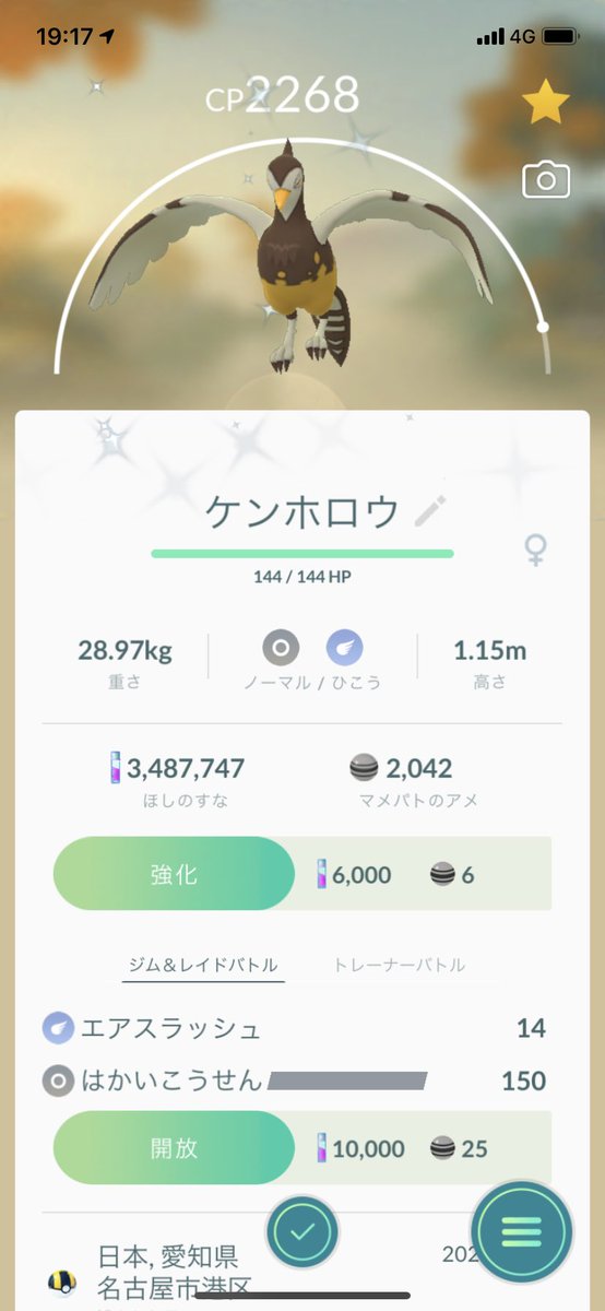 ポラリス No Twitter ポケモンgo 色違いマメパト 出ました は2匹目なのでハトーボーに進化 そして ケンホロウに進化させました 後はマメパト の色違いを狙わないと ポケモンgo 色違い マメパト ハトーボー ケンホロウ