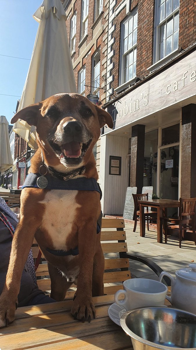 Happy Friday pals! Mums took me to sit outside my cafe in the sunshine this morning... i was a little bit happy to be there!