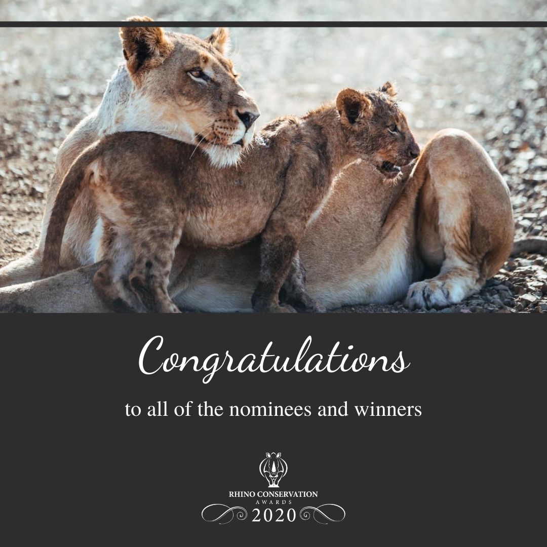 loveAfrica_'s tweet photo. BREAKING NEWS: The Rhino Conservation Award winners have been announced! A huge congratulations to these incredible guardians of our wild spaces. 

Visit this link: https://t.co/mbnfXXBjJu

@RhinoAwards @The_GRAA @ranger_protect @SANBI_ZA @environmentza @BarbaraCreecy_ @SANParks https://t.co/2pJDvl38dV