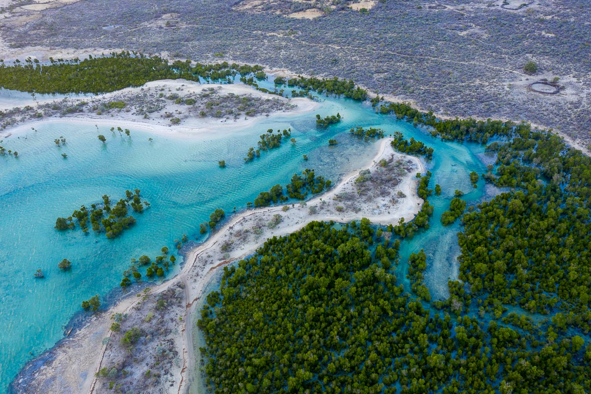 BlueVentures's tweet photo. MPA News explores the role of blue carbon in funding conservation. Our efforts in Tahiry Honko, the world’s largest mangrove carbon conservation project, are highlighted as a way to protect ecosystems and benefit communities. 🌱

Find out more 👇
https://t.co/ZFa6W0bbja https://t.co/nmWraeURfN