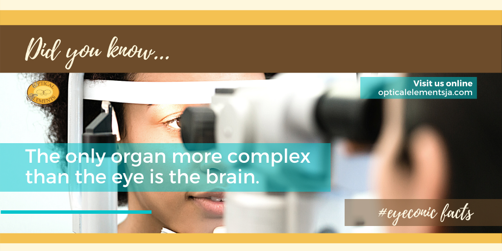 OpticalElements's tweet image. Our eyes are incredibly complex and require routine care. At @OpticalElements, we see so many patients who wait until it&apos;s too late to take care of their eyes.
.
You don&apos;t have to wait! Visit us online to request an appointment for your annual exam today.
.
#eyeconic #eyecare