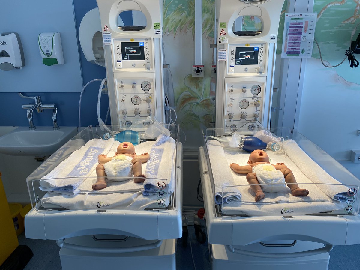 CHSResusSim's tweet photo. Thank you to @DawnKerslake Consultant Midwife for @secamb for delivering @antanddec yesterday. We will be looking after them in the Simulation centre for a while.  @lifecast https://t.co/qcCvYTTf3h