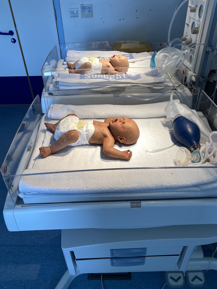 CHSResusSim's tweet photo. Thank you to @DawnKerslake Consultant Midwife for @secamb for delivering @antanddec yesterday. We will be looking after them in the Simulation centre for a while.  @lifecast https://t.co/qcCvYTTf3h