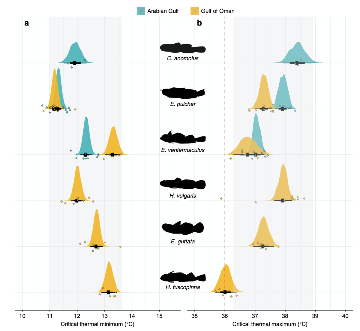 Our new paper is out in <a href="/NatureComms/">Nature Communications</a> 

Under extreme environmental conditions, limited prey resource availability, not thermal tolerance, reduces the diversity and productivity of tiny fishes #cryptodiversity

Read: doi.org/10.1038/s41467…