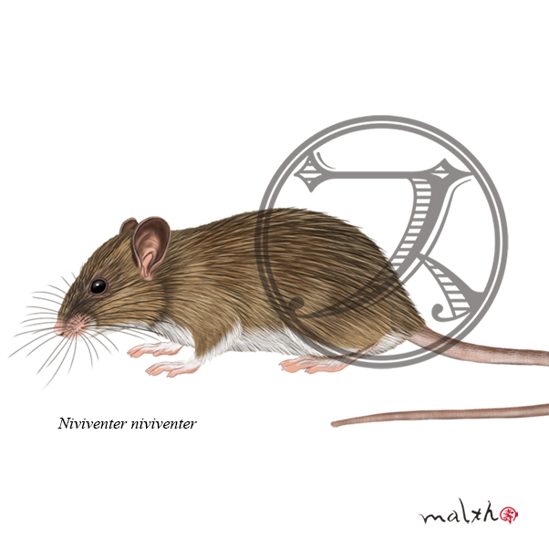 動物イラストのtwitterイラスト検索結果 古い順 動物イラストのtwitterイラスト検索結果 古い順