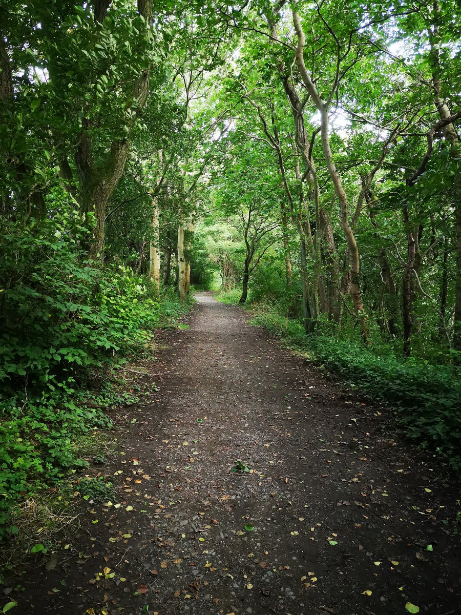 AlexisA95214269's tweet image. Really taking time to appreciate the evening dog walking surroundings after attending @earlyyearsscot online Wellbeing Event on Tuesday. #grateful #mindfulness #makingtimeforyourself