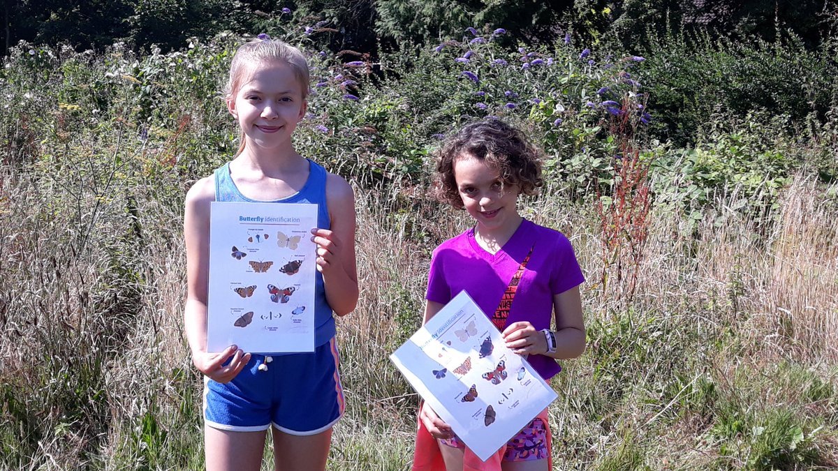 St_Johns_School's tweet photo. The results of our butterfly identification are:

1 orange tip
2 Brimstones
2 Common Blue
2 Commas
3 Painted Lady
1 Peacock
4 Meadow Brown
4 holly blue
12 large white https://t.co/n5JLQxPCYQ