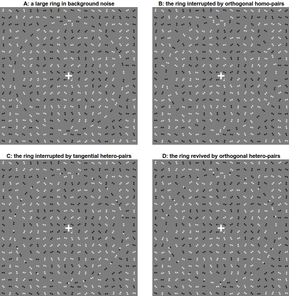Li_Zhaoping's tweet photo. Direct eyes to the central cross in A, B, C, and D,  (no peeking), in which image can you see the large ring centered on the cross, from easiest to the most difficult?  Vote in the next tweet in the thread, please RT.  Explanation in https://t.co/5v2wYFKjAQ https://t.co/JduRe5Boyl