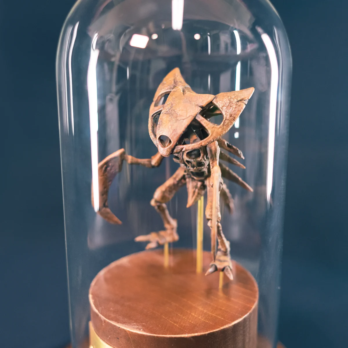 公式グッズだと言われたら信じてしまいそう？！カブトプスの化石標本を作った人が現れる！