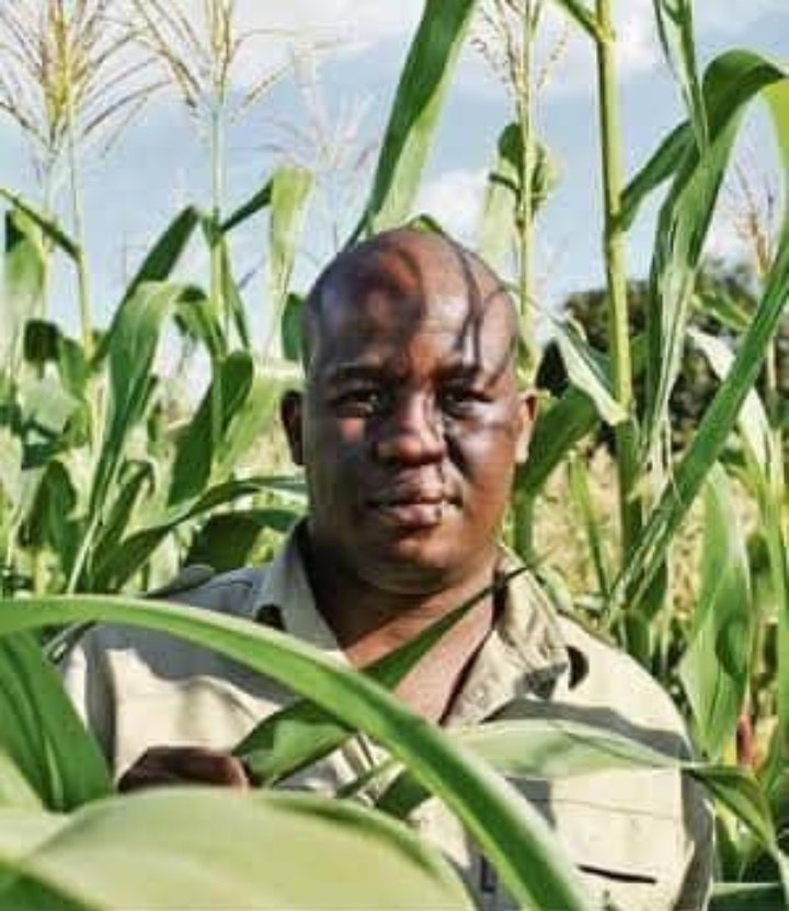 Nellieyyy's tweet image. #MoMolemi doing greater things. This is how we will pose after getting the land back. Askikakhohlwa.