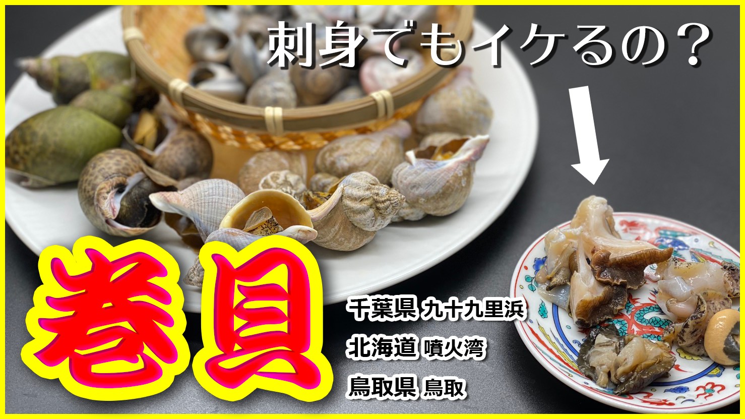せり人 ムタロー 誰もやったことのない巻貝 の食べ方 T Co Awwrxxocqx ながらみ 磯つぶ貝 黒バイ貝 巻貝 貝 魚 さばき方 おろし方 千葉県 九十九里浜 北海道 噴火湾 鳥取県 刺身 塩焼き 塩ゆで 包丁 せり人ムタロー 料理 Rt せり人 ムタロー 誰もやったことのない巻貝 の食べ方 T Co Awwrxxocqx ながらみ 磯つぶ貝 黒バイ貝 巻貝 貝 魚 さばき方 おろし方 千葉県 九十九里浜 北海道 噴火湾 鳥取県 刺身 塩焼き 塩ゆで 包丁 せり人ムタロー 料理 Rt