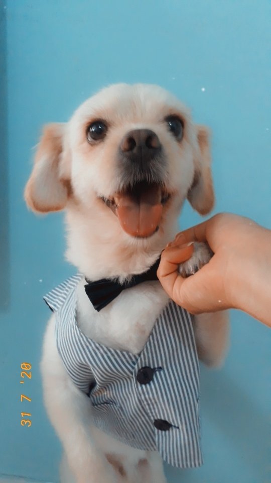 Musmutlu Bayramlar Dileriz🍭😍
.
.
.
#MutluBayramlar #iyibayramlar #HayırlıBayramlar #bayram