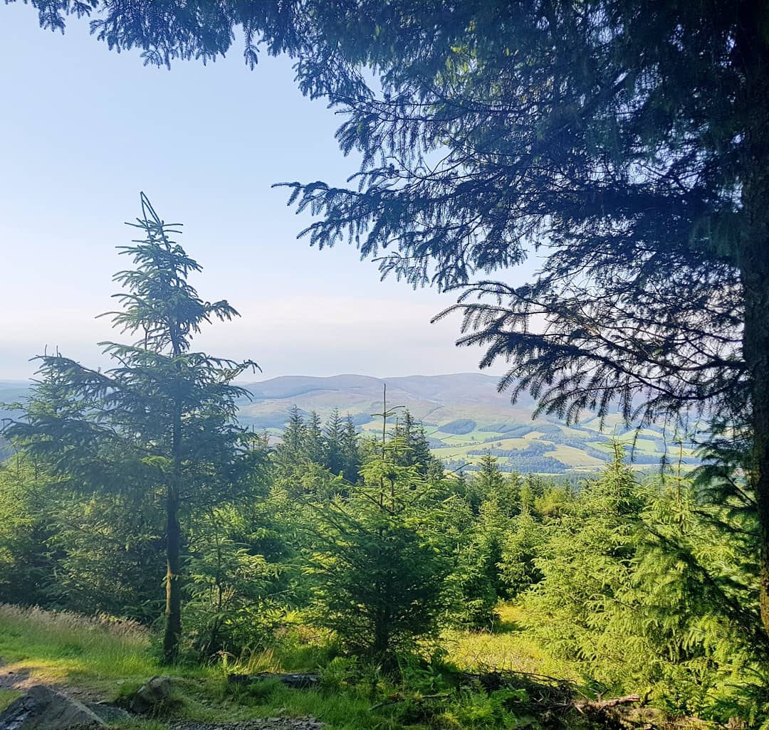 glentress new trails