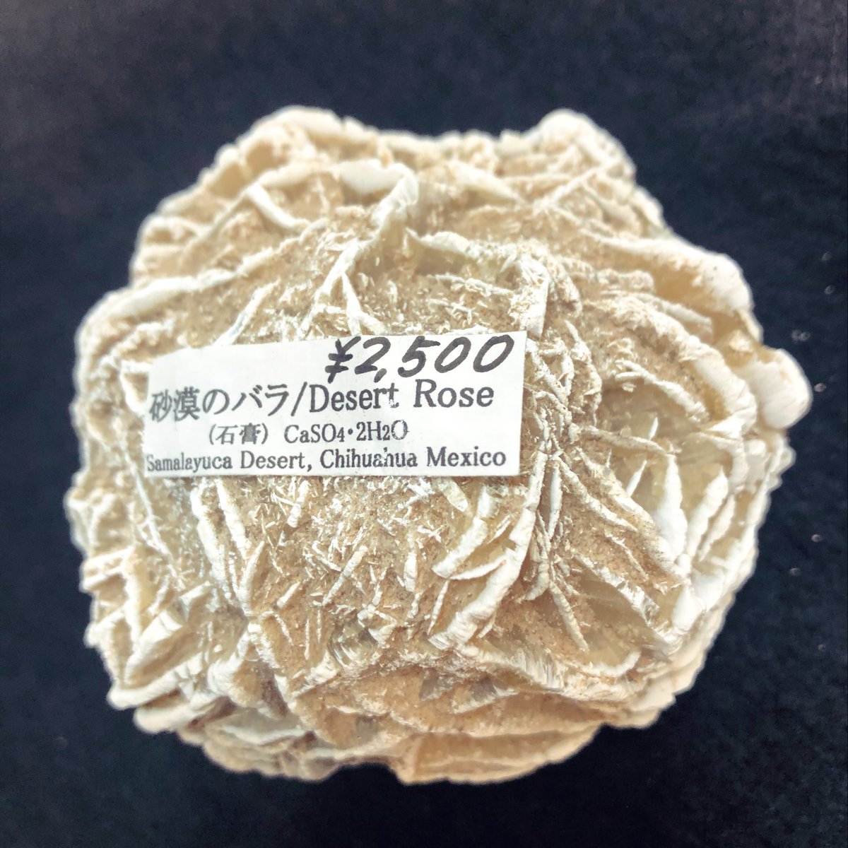 クリスタルワールド立川店 砂漠の薔薇 メキシコ産 かなりおおきめの単体のものです クラスタータイプ いくつか薔薇がくっついて花束のようになっているもの もございます 枯れたオアシスに出来ると言う枯れない大輪のバラ ロマンがあります