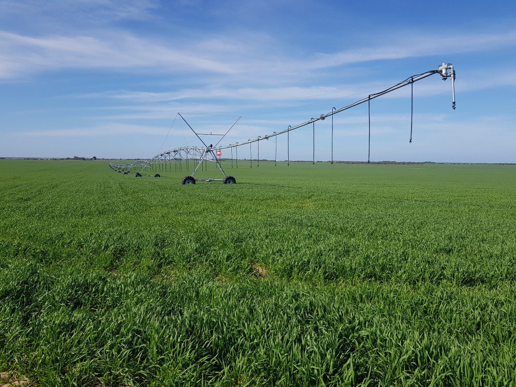 benparts's tweet photo. Cracking winters day for a bit of maintenance on this pivot! Rain would be nice but never fear when a pivot is near! #growwheatgrow  🌾 🌾 #benpartsirrigation #weknowwater 💦 
@LindsayIrrigate @ZimmaticANZ https://t.co/oXDgSxObvv