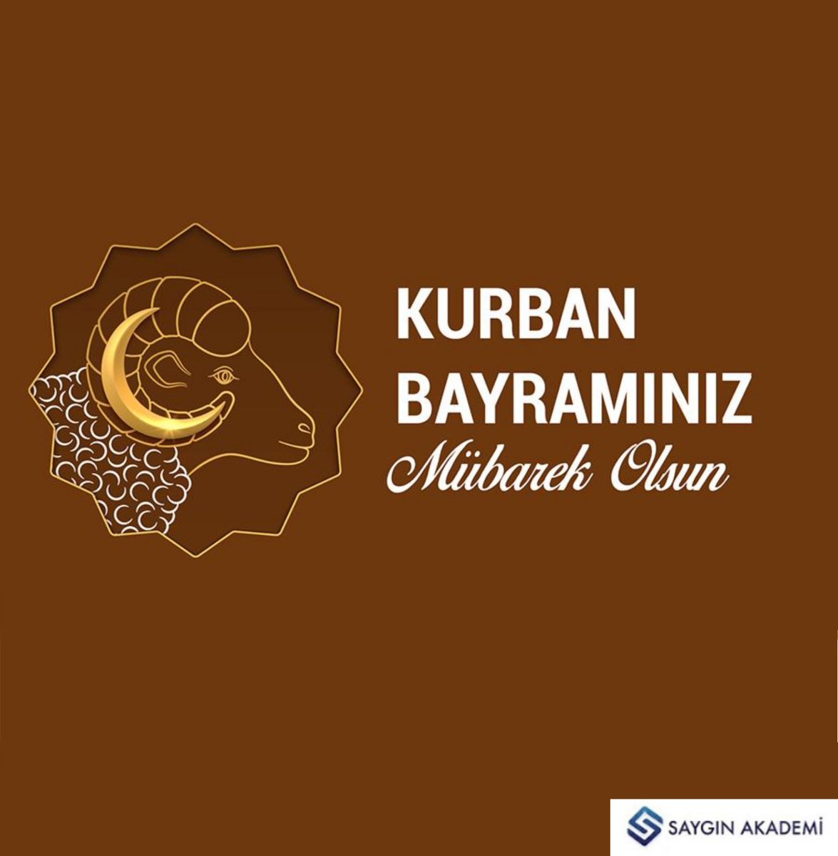 Oğuz Saygın (@oguzsaygin) on Twitter photo 