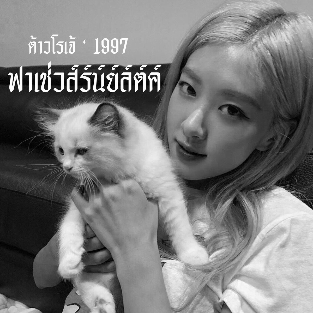 ฟช-ฟิชเชอร์เเมนเฟรนด์ tweet media