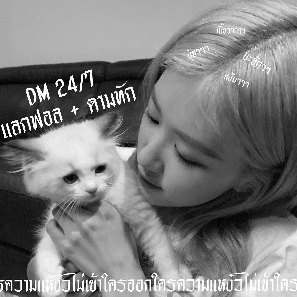 ฟช-ฟิชเชอร์เเมนเฟรนด์ tweet media