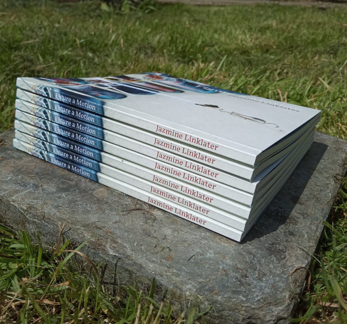 Guillemot Press tweet media